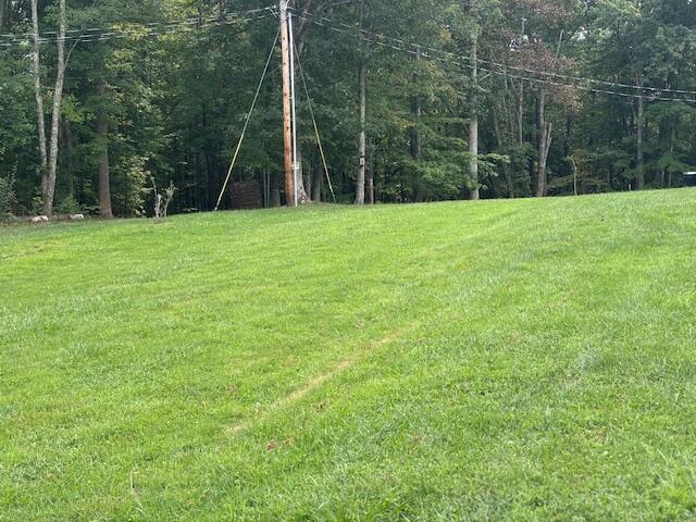 1123 War Fork Road McKee, KY 40447 - Photo 22 of 30 IMG_6046