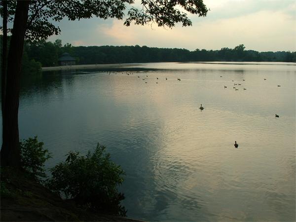 31 Hope Street Springfield, MA 01119 - Photo 8 of 9 a view of a lake view