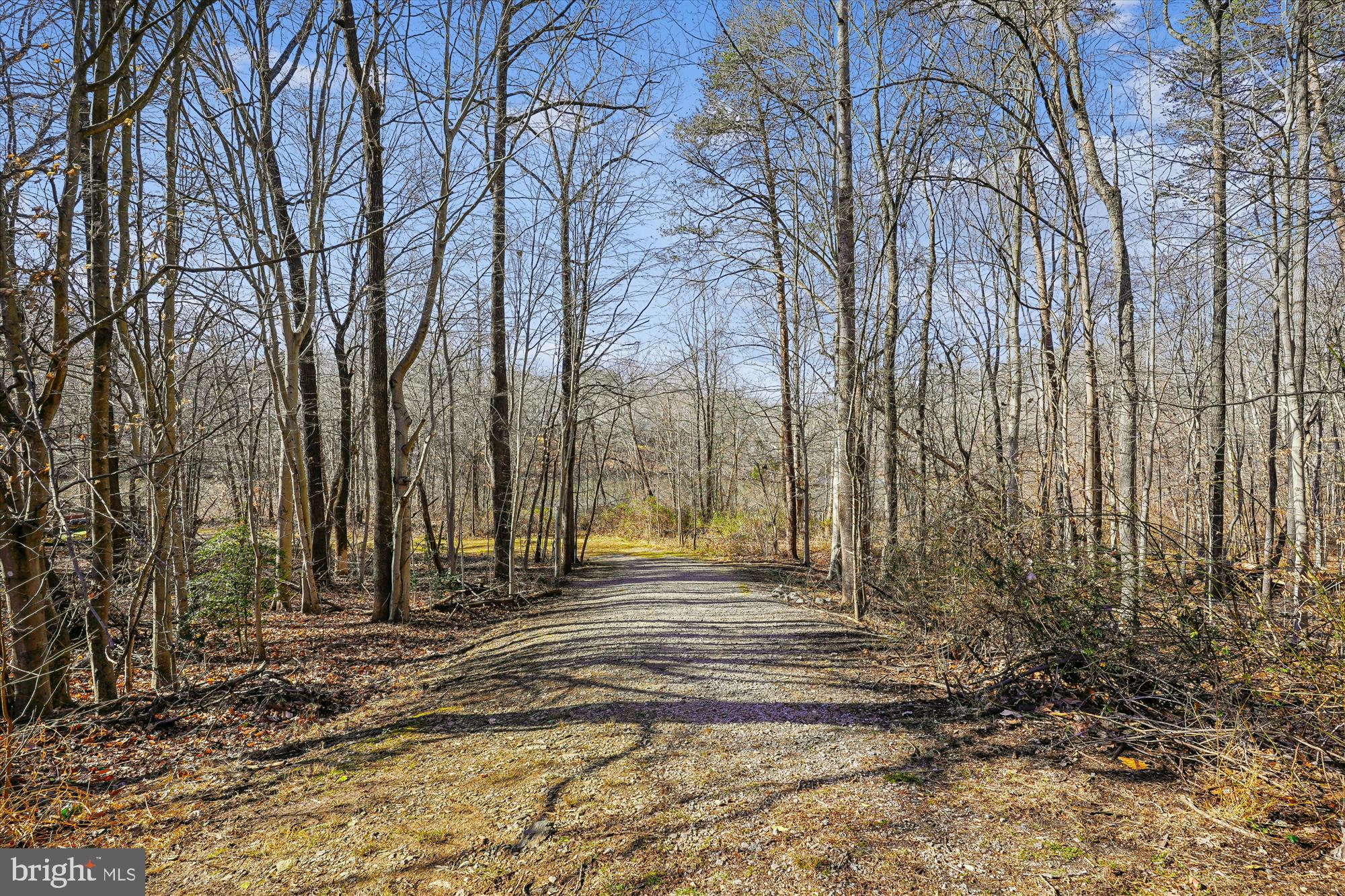 5146 Spring Branch Boulevard Dumfries, VA 22025 - Photo 31 of 38 a view of a backyard with large trees
