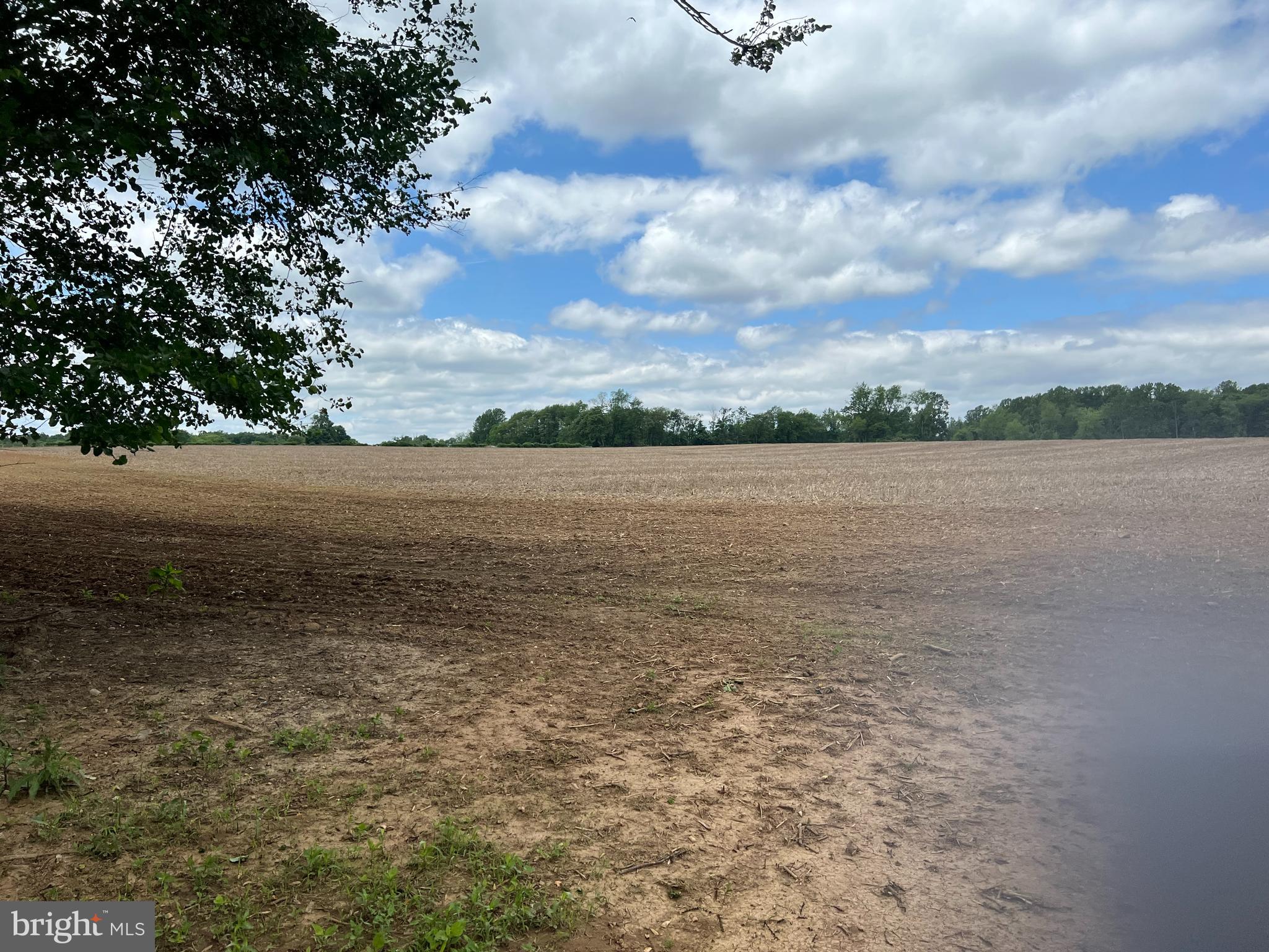 1825 Castleton Road Darlington, MD 21034 - Photo 16 of 17 back fields/crops