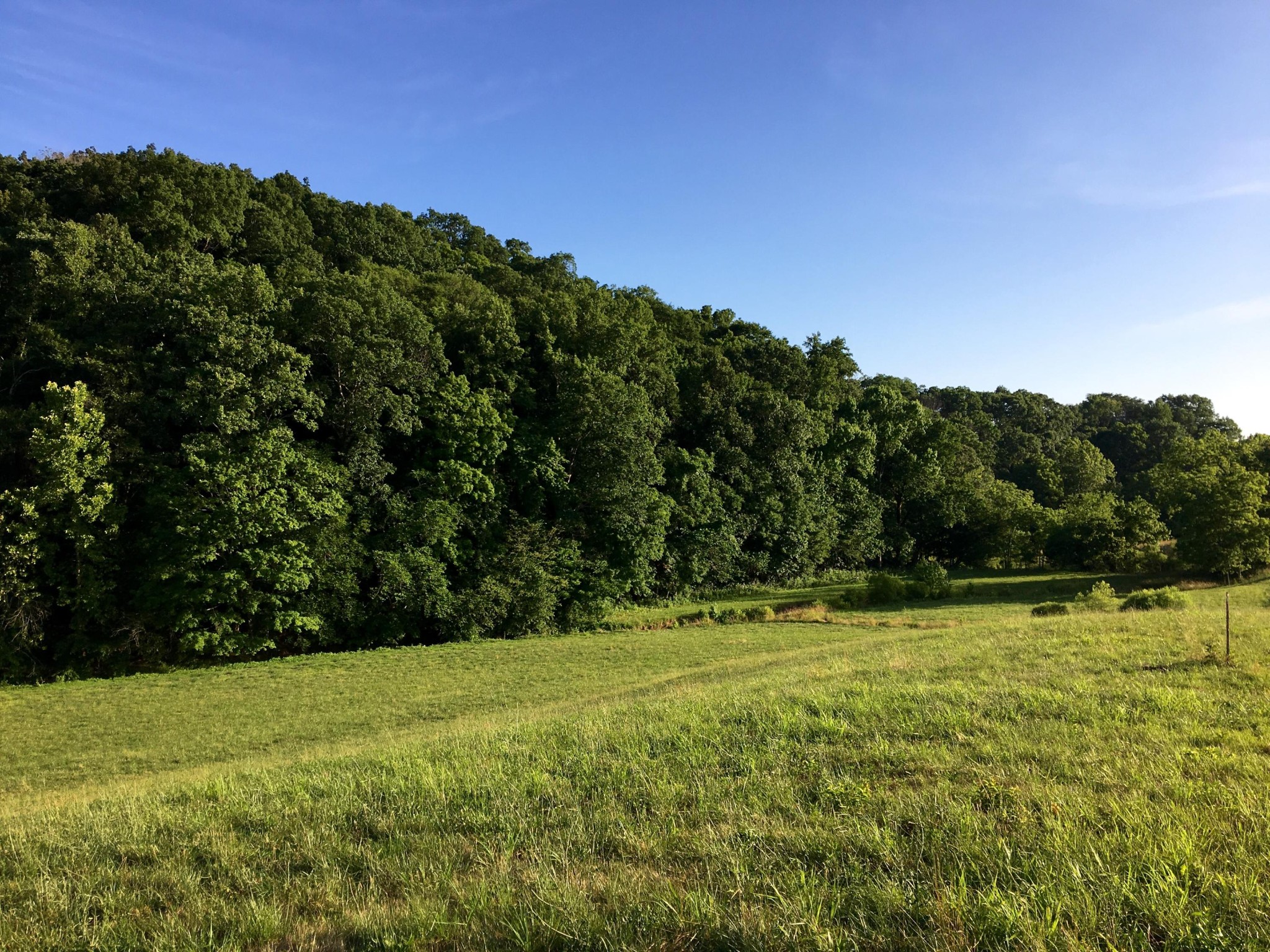 0 Gists Creek Road Sevierville, TN 37876 - Photo 3 of 8 Gallery Image 3