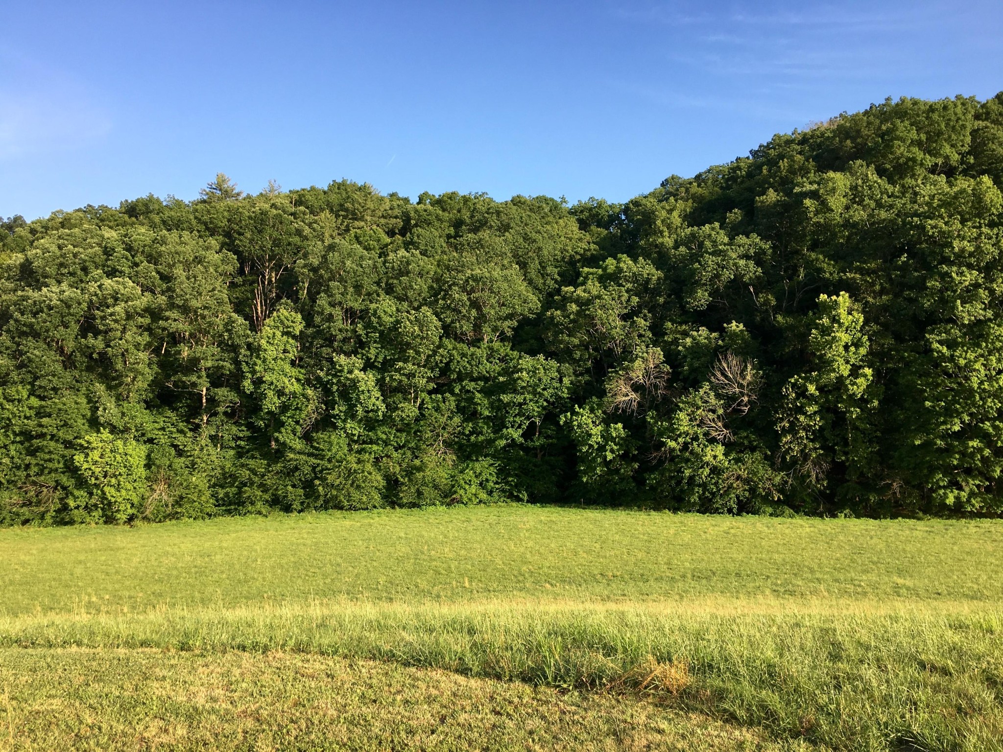 0 Gists Creek Road Sevierville, TN 37876 - Photo 4 of 8 Gallery Image 4