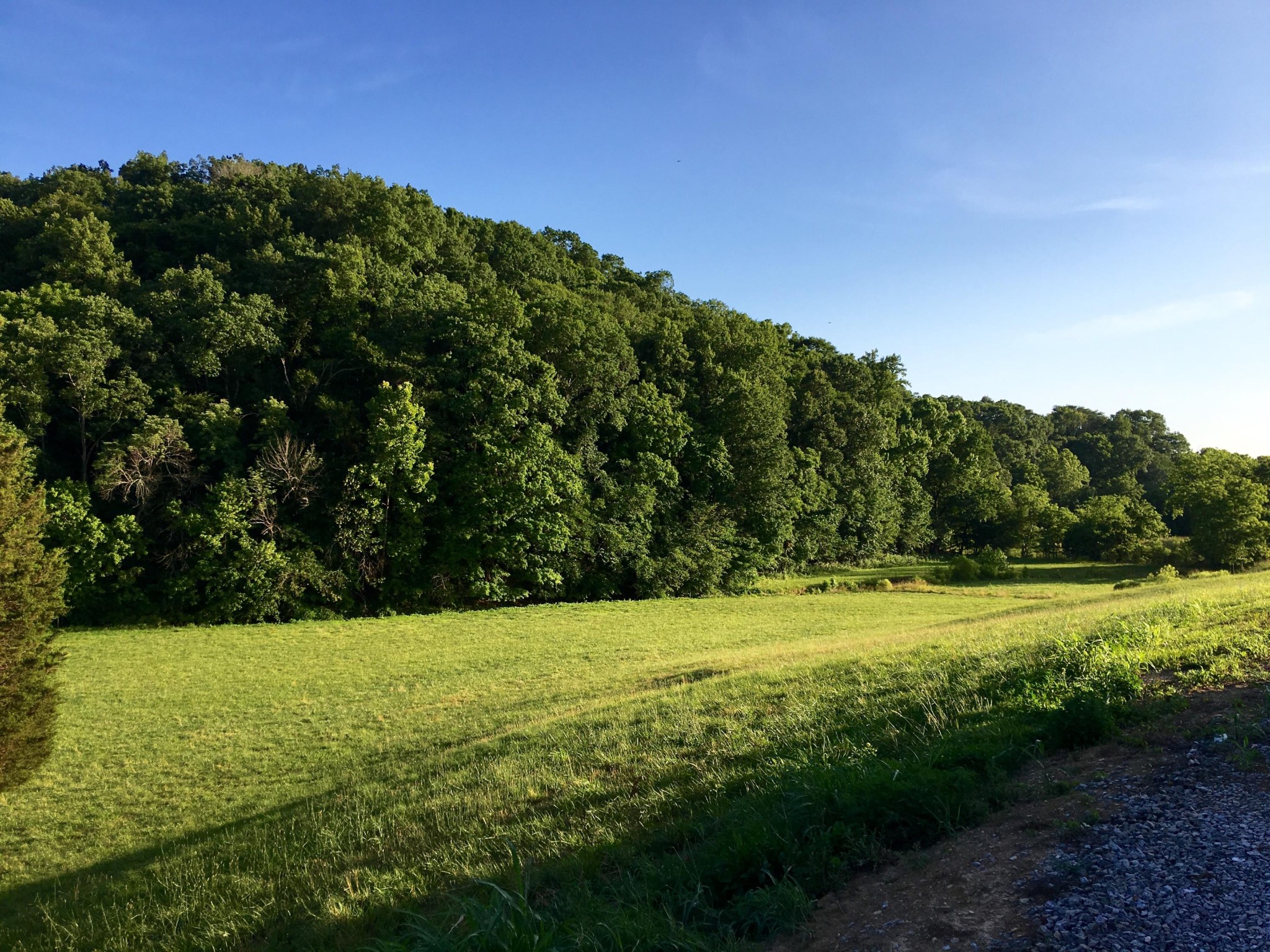 0 Gists Creek Road Sevierville, TN 37876 - Photo 8 of 8 Gallery Image 8