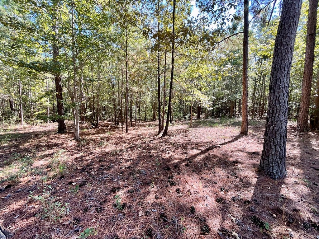 88 Wheeler Rogers Road Rupert, GA 31081 - Photo 22 of 73 Gallery Image 22