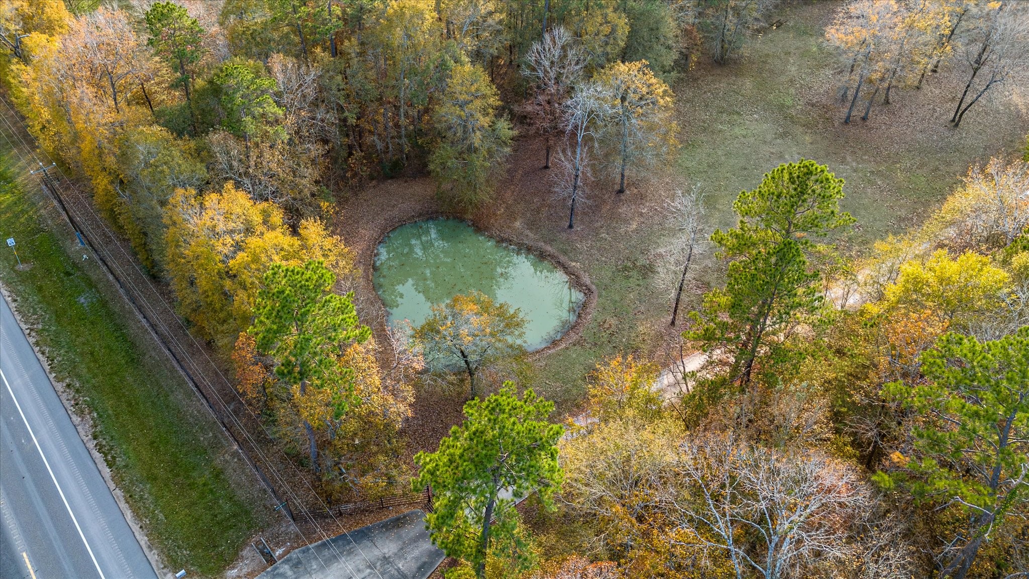 20205 Highway 146 Liberty, TX 77575 - Photo 31 of 50 a view of a yard with plants