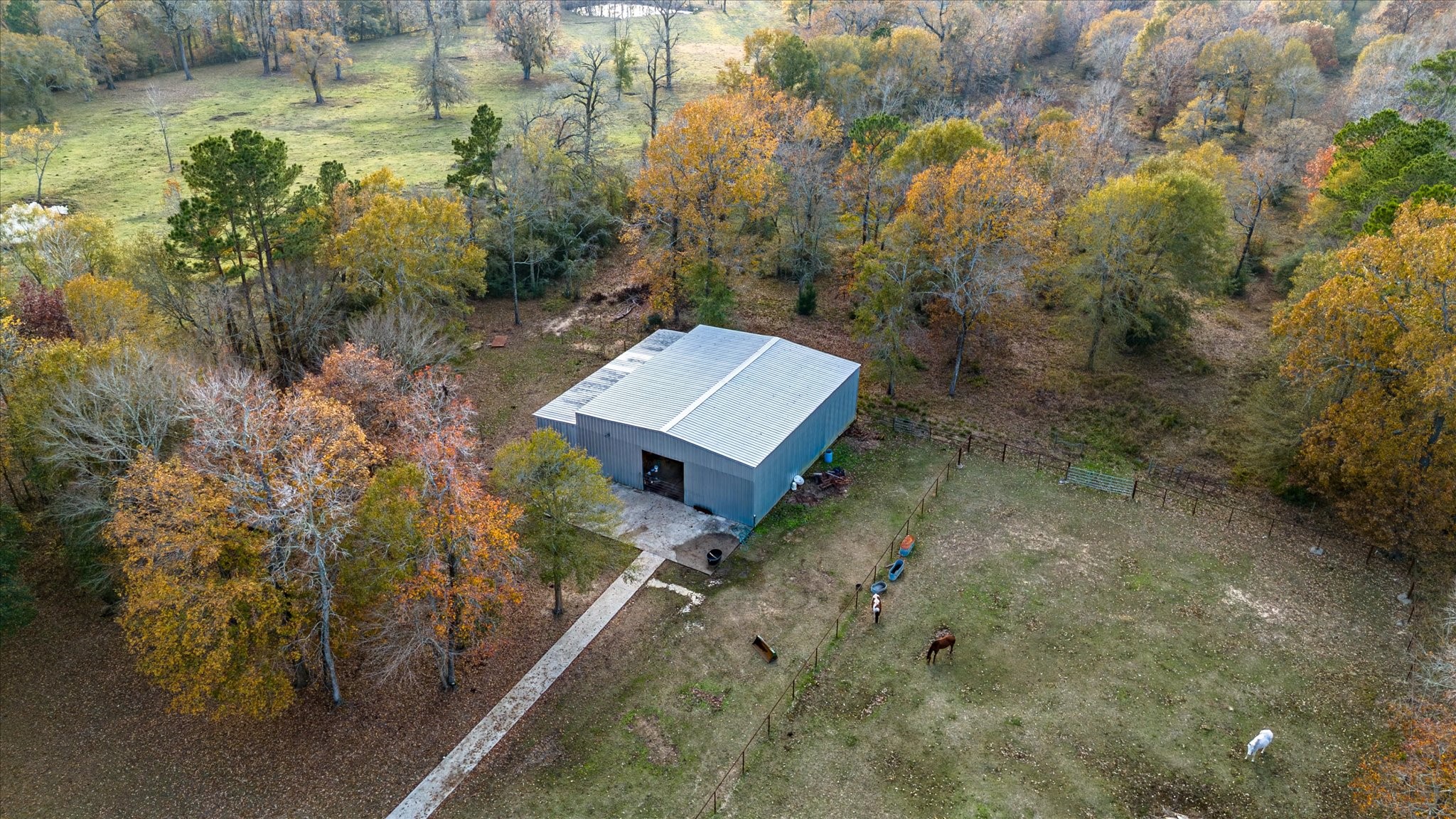 20205 Highway 146 Liberty, TX 77575 - Photo 37 of 50 a view of a back yard