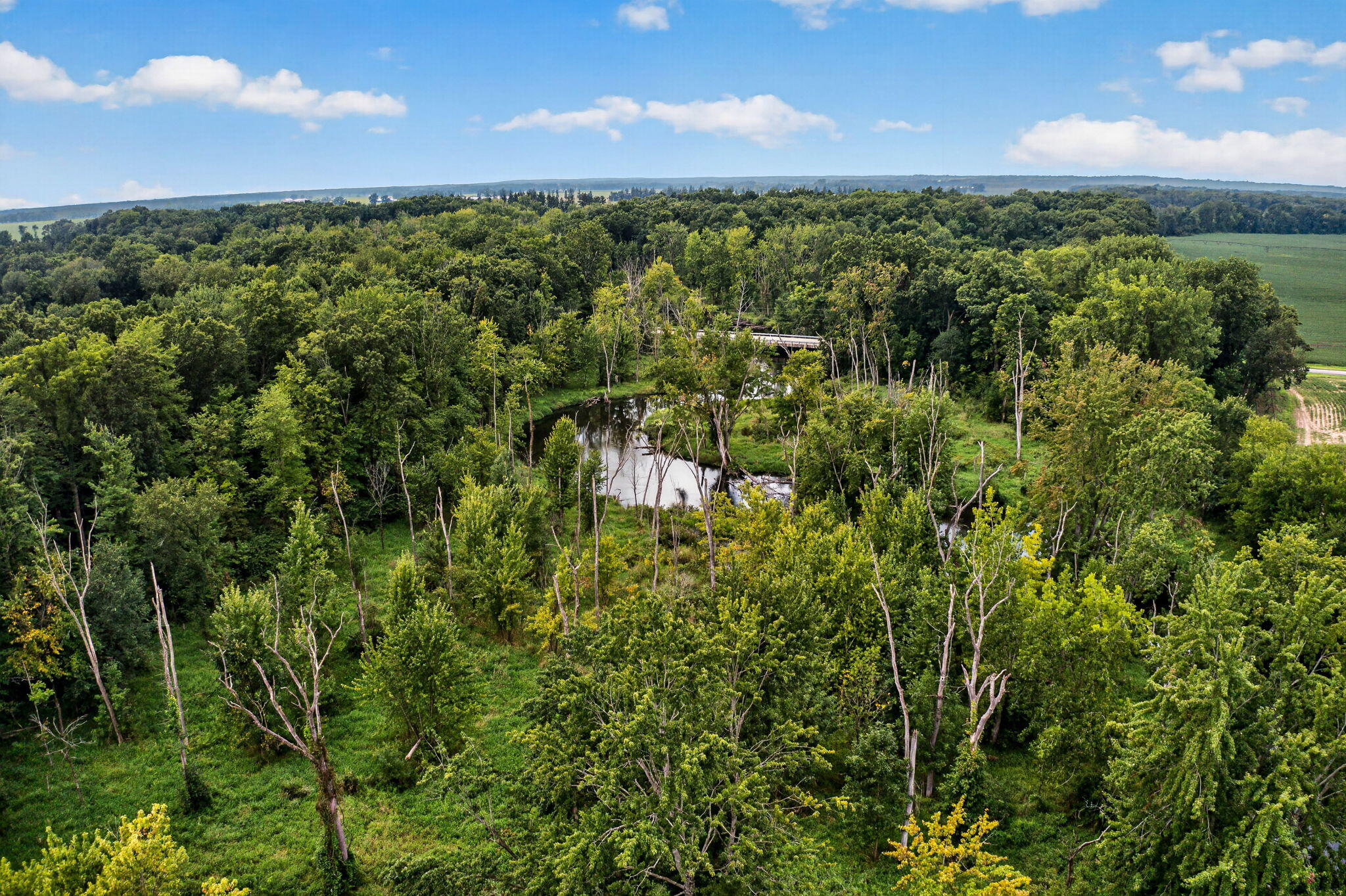 61519 Neaman Road Constantine, MI 49042 - Photo 44 of 64 61519 Neaman Rd-69
