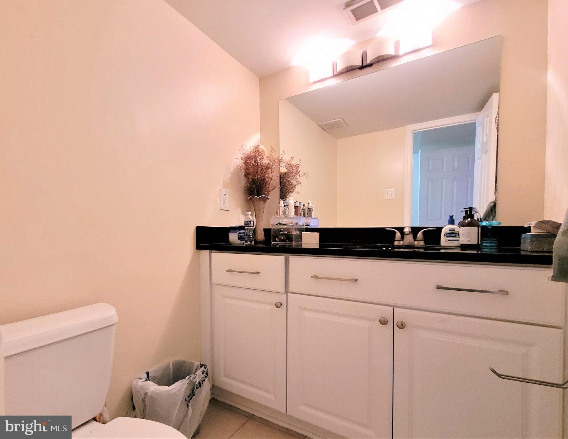 3350 Woodburn Road, Unit T2 Annandale, VA 22003 - Photo 18 of 57 Master Bathroom