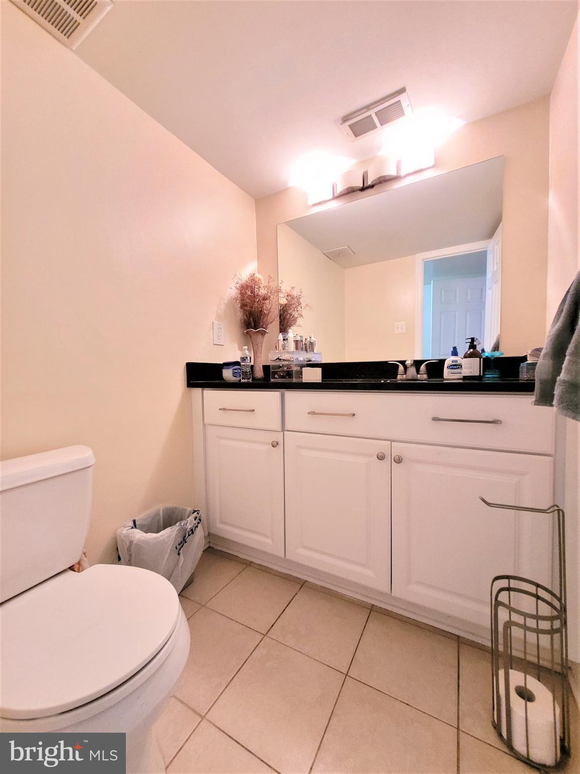 3350 Woodburn Road, Unit T2 Annandale, VA 22003 - Photo 19 of 57 Master Bathroom