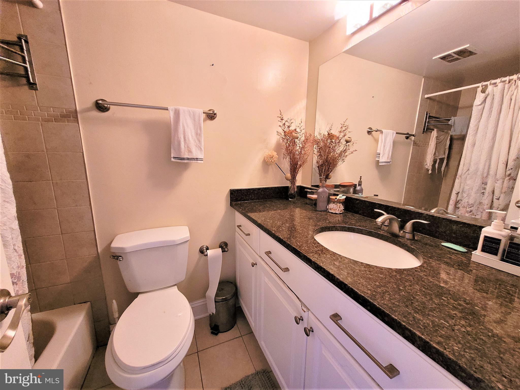 3350 Woodburn Road, Unit T2 Annandale, VA 22003 - Photo 24 of 57 Hallway Bathroom (bathroom #2)