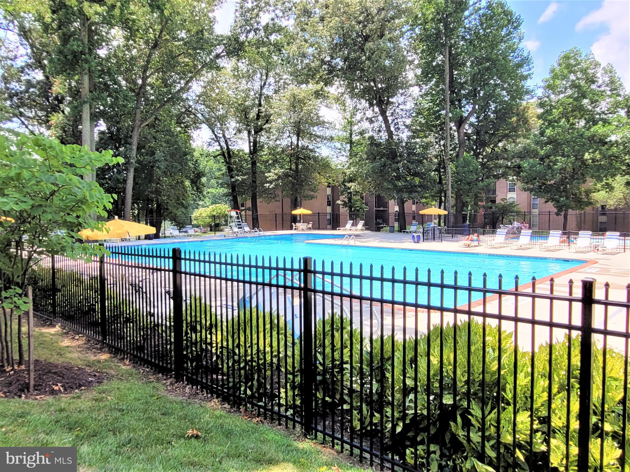 3350 Woodburn Road, Unit T2 Annandale, VA 22003 - Photo 33 of 57 Swimming Pool