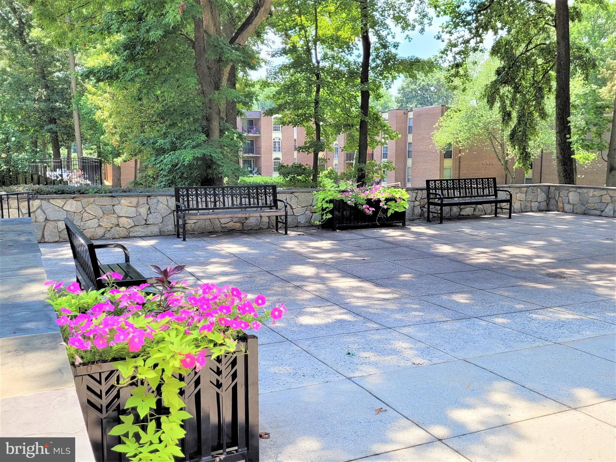 3350 Woodburn Road, Unit T2 Annandale, VA 22003 - Photo 46 of 57 Community Scenery