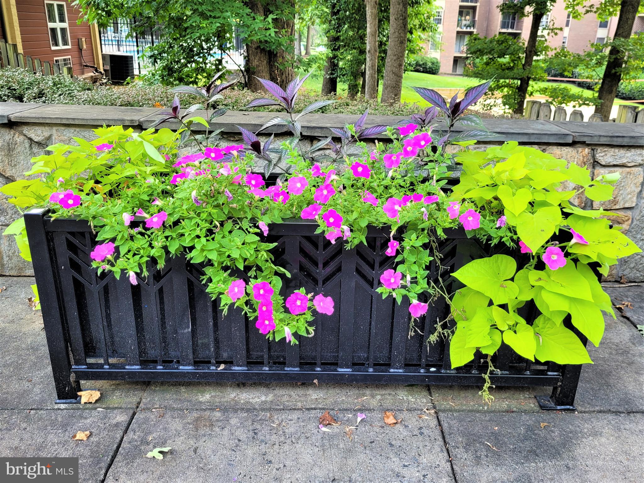 3350 Woodburn Road, Unit T2 Annandale, VA 22003 - Photo 48 of 57 Community Scenery