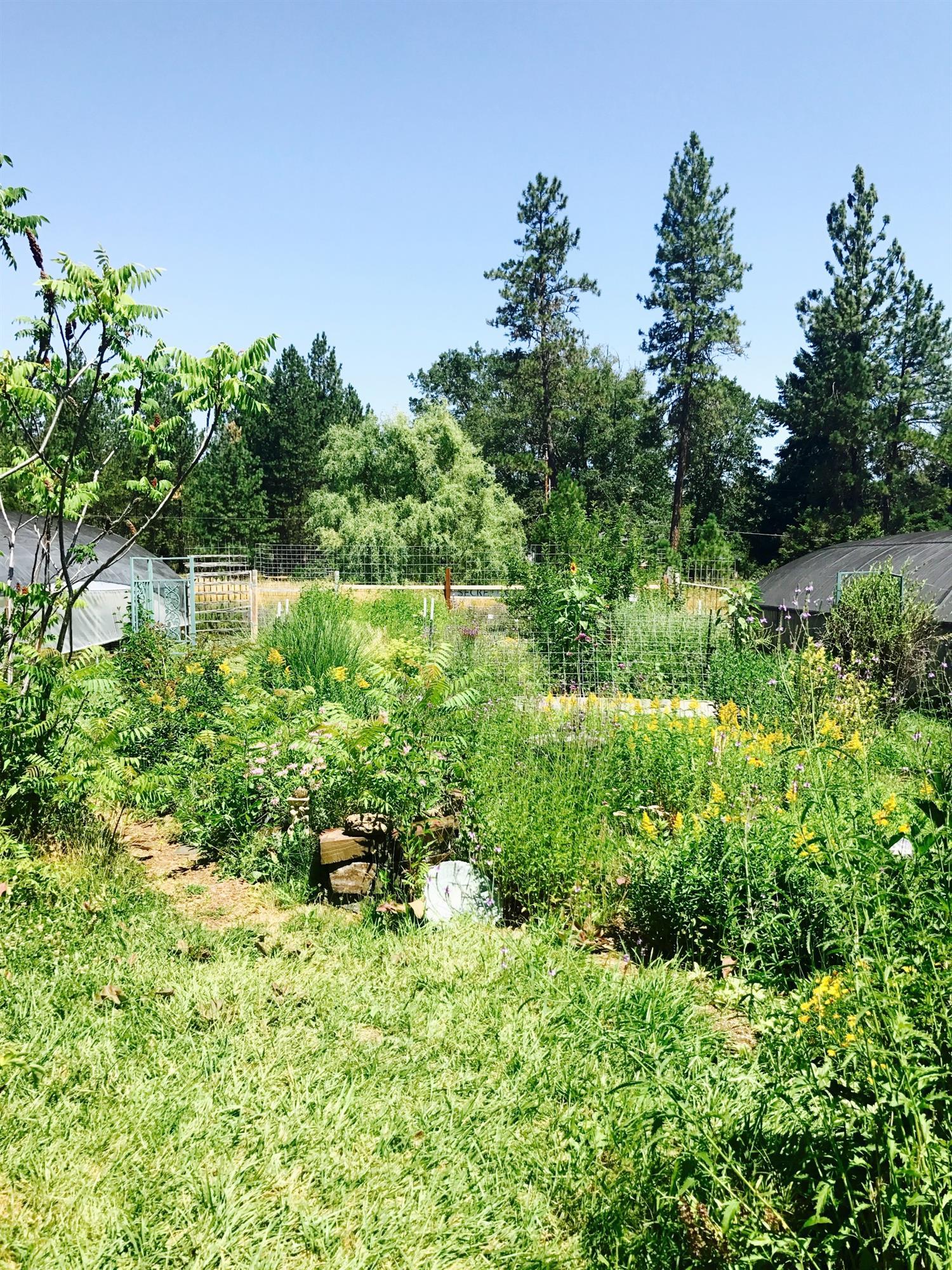 970 Cedar Flat Road Williams, OR 97544 - Photo 25 of 29 Additional Photo