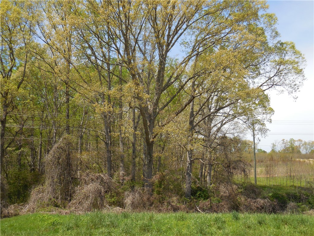 Parcel 4-gibson North Old Pendleton Road Liberty, SC 29657 - Photo 12 of 14