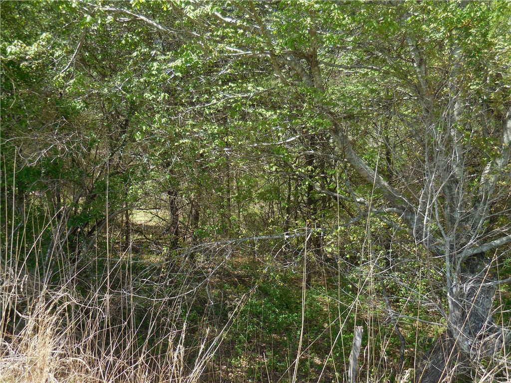 Parcel 4-gibson North Old Pendleton Road Liberty, SC 29657 - Photo 3 of 14