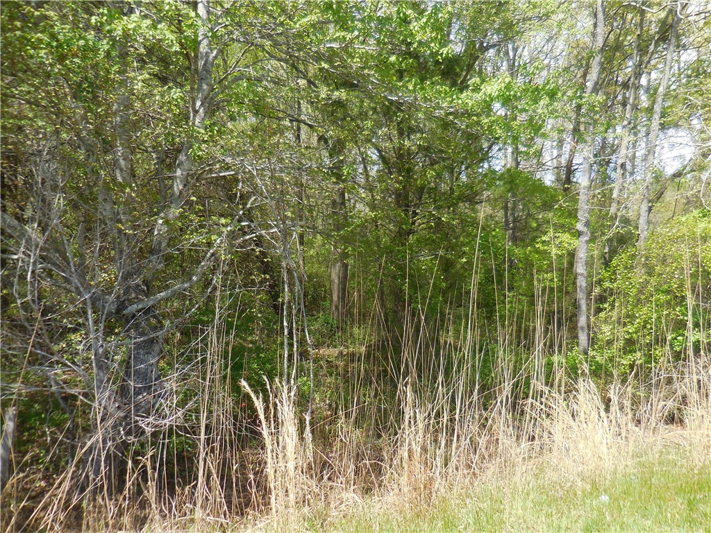 Parcel 4-gibson North Old Pendleton Road Liberty, SC 29657 - Photo 4 of 14