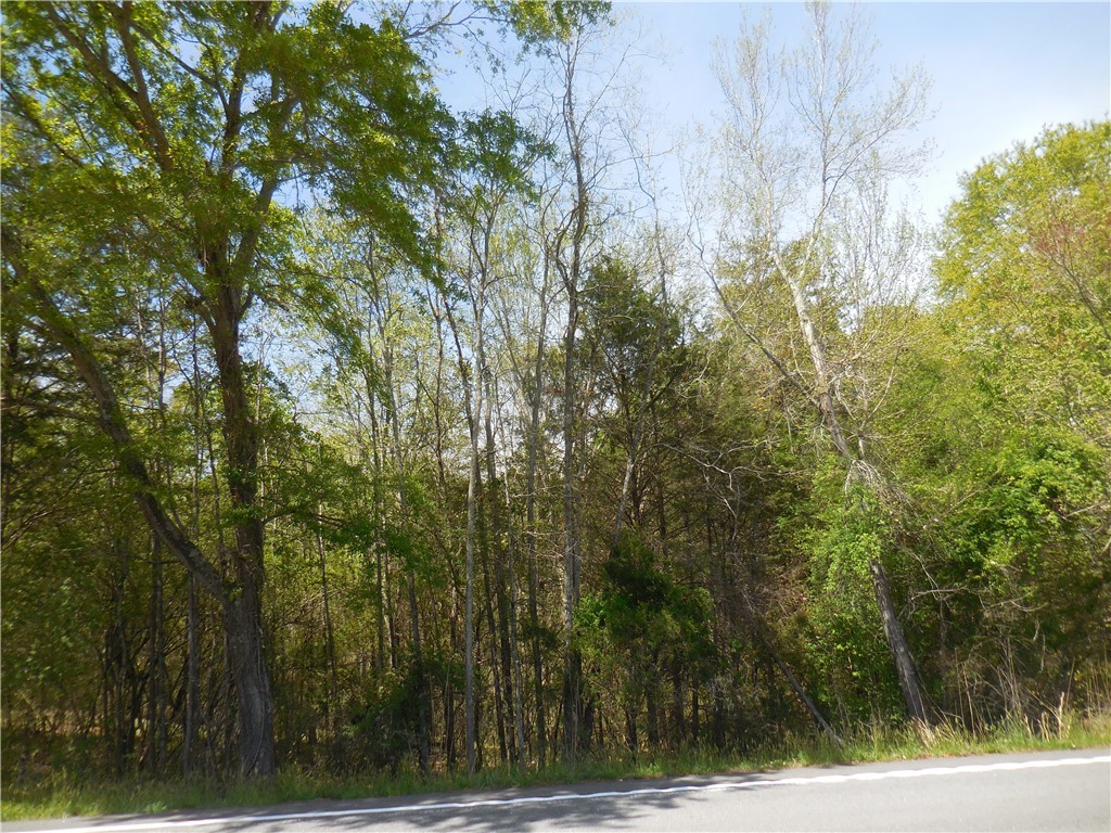 Parcel 4-gibson North Old Pendleton Road Liberty, SC 29657 - Photo 7 of 14
