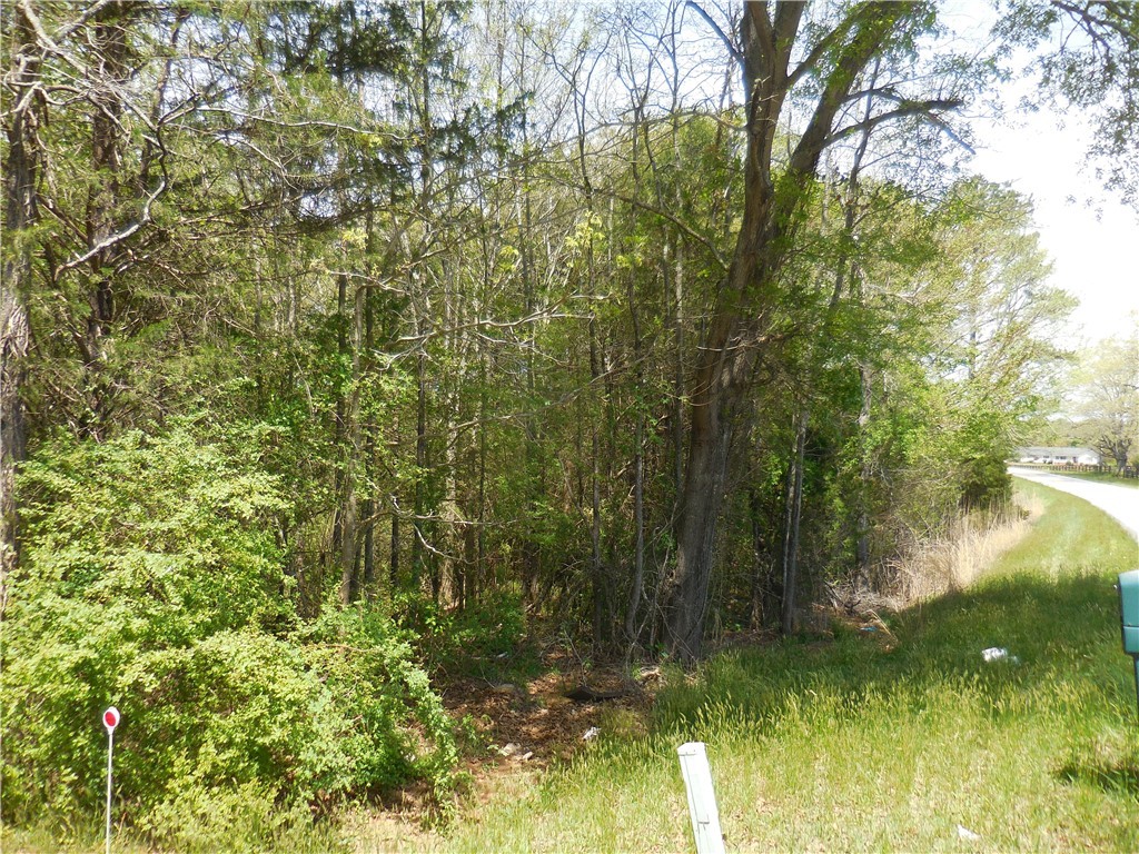 Parcel 4-gibson North Old Pendleton Road Liberty, SC 29657 - Photo 8 of 14