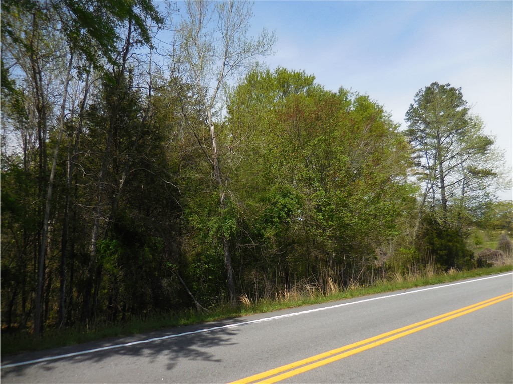 Parcel 4-gibson North Old Pendleton Road Liberty, SC 29657 - Photo 10 of 14