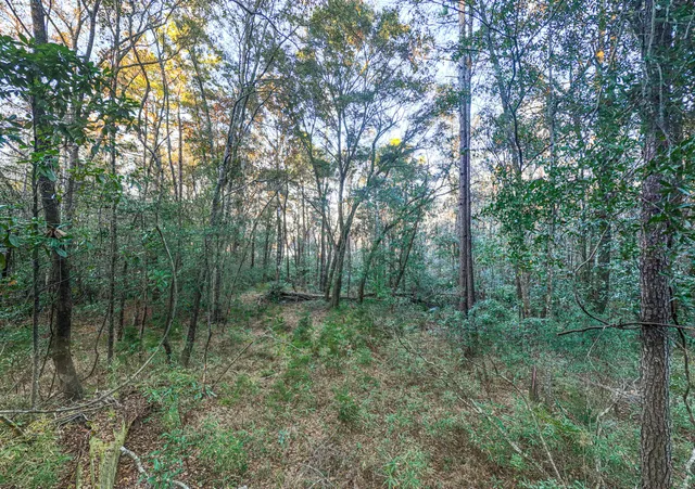 $949,000 | 19 Middleton Oaks Road, Charleston, SC 29414