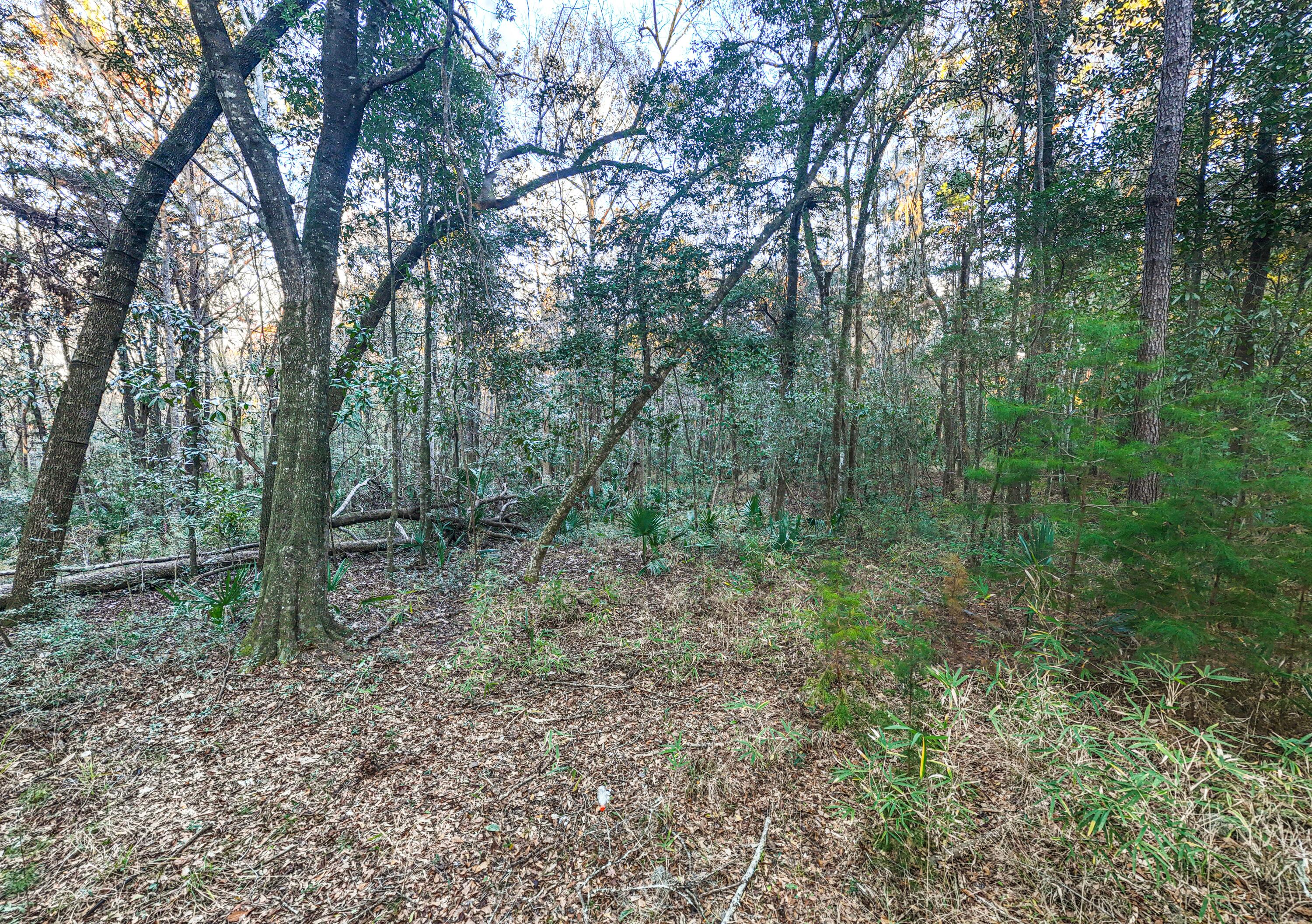 19 Middleton Oaks Road Charleston, SC 29414 - Photo 27 of 56 AUSTINMARVELS.COM--3