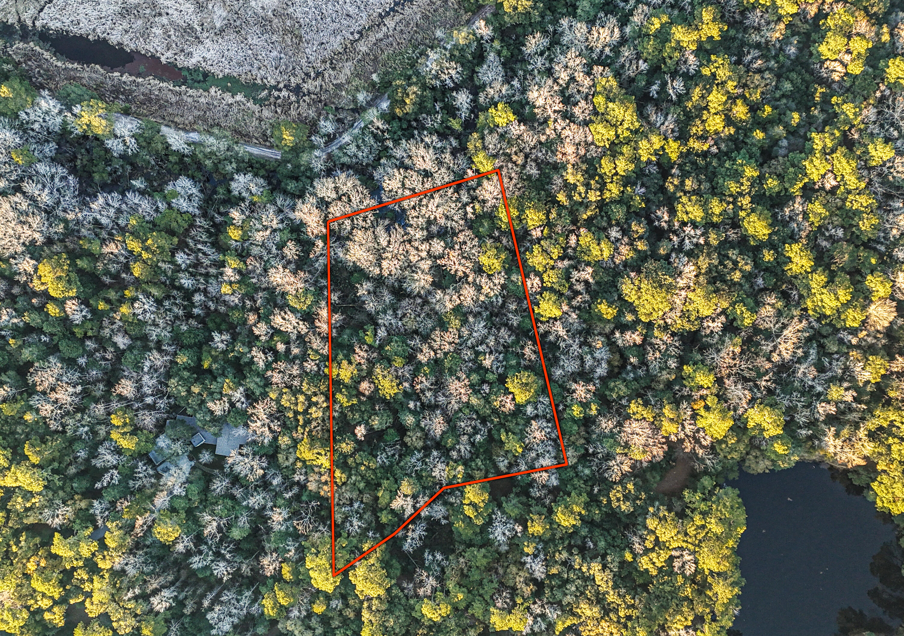 19 Middleton Oaks Road Charleston, SC 29414 - Photo 3 of 56 AUSTINMARVELS.COM--5