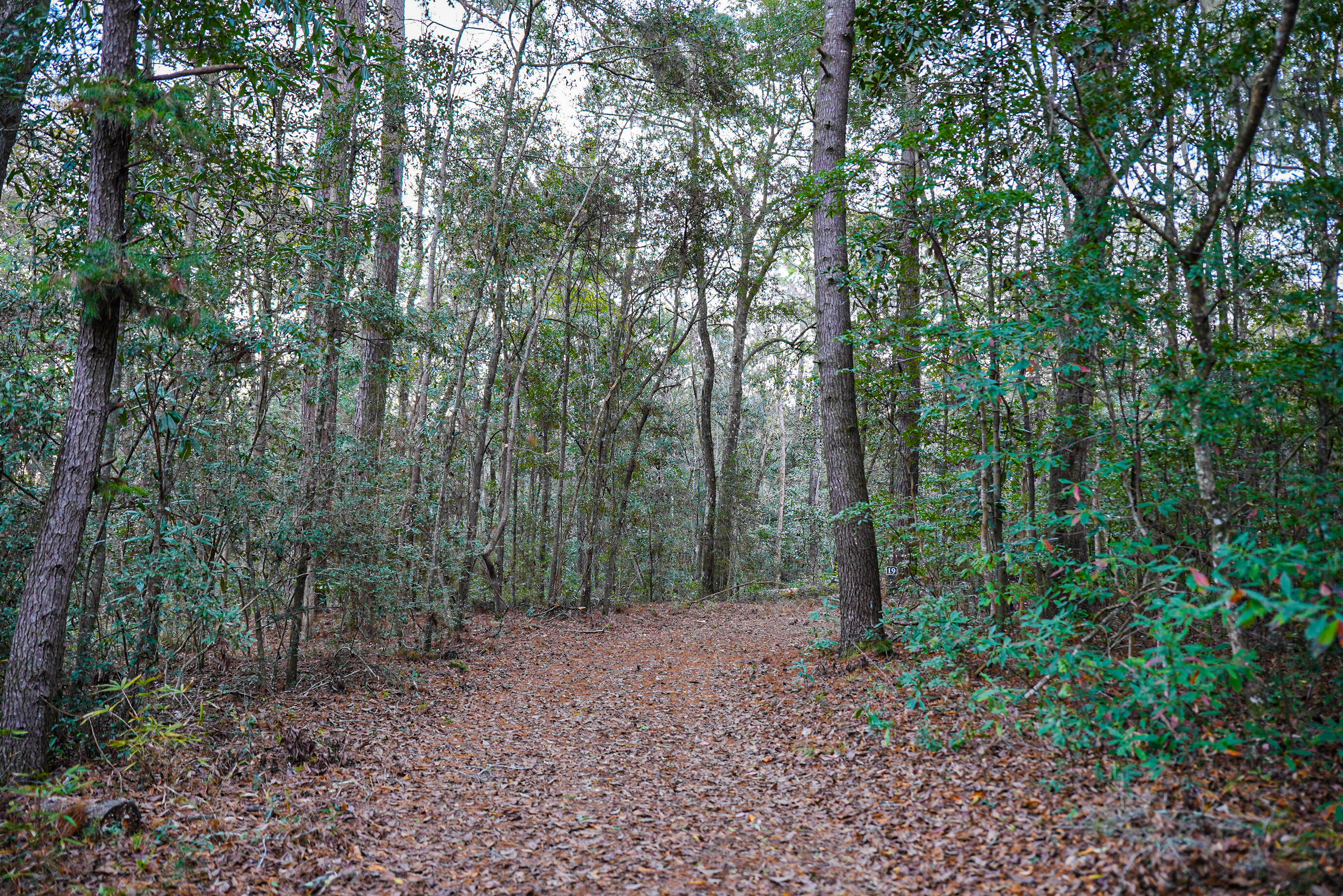 19 Middleton Oaks Road Charleston, SC 29414 - Photo 30 of 56 AUSTINMARVELS.COM-02155