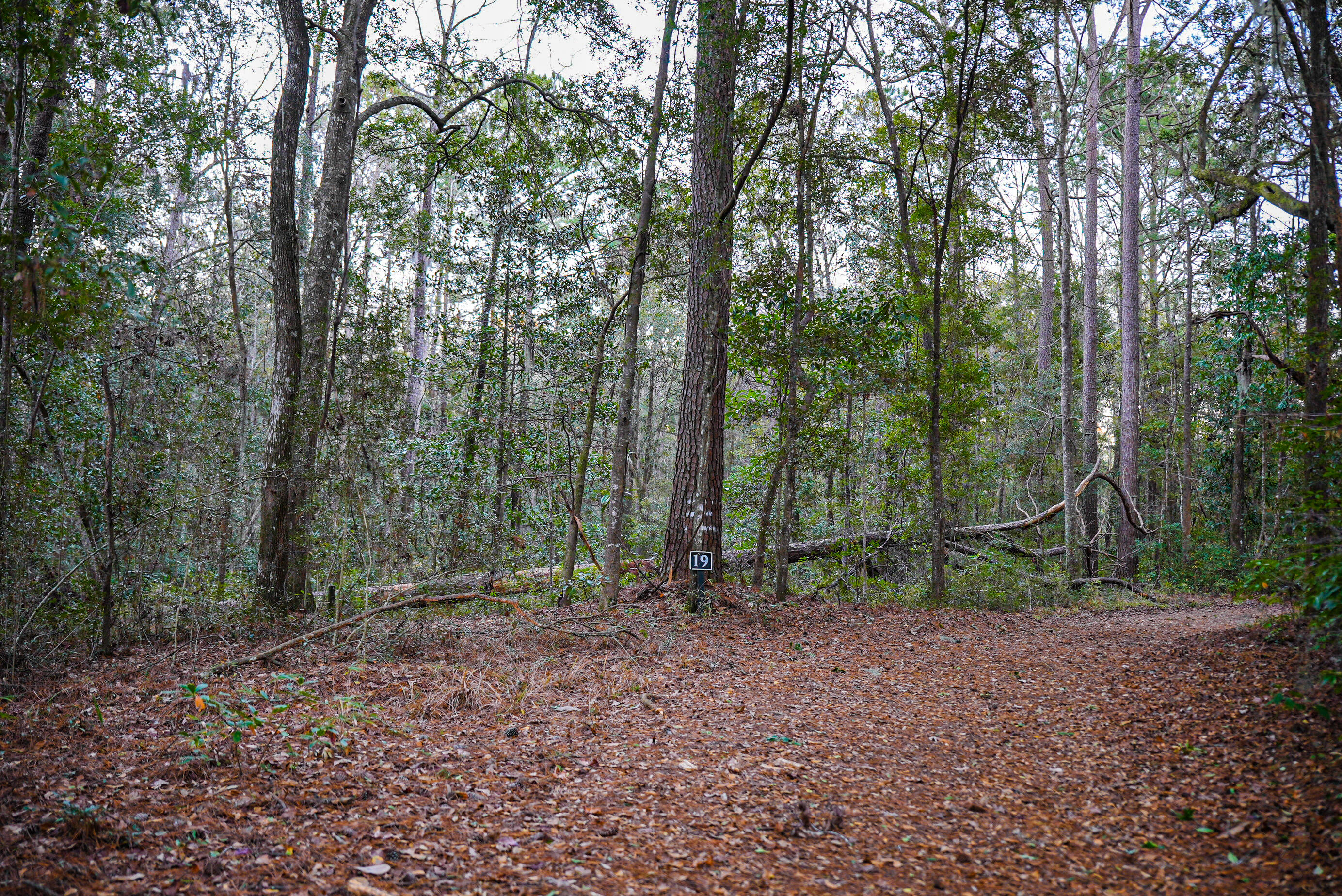 19 Middleton Oaks Road Charleston, SC 29414 - Photo 31 of 56 AUSTINMARVELS.COM-02158