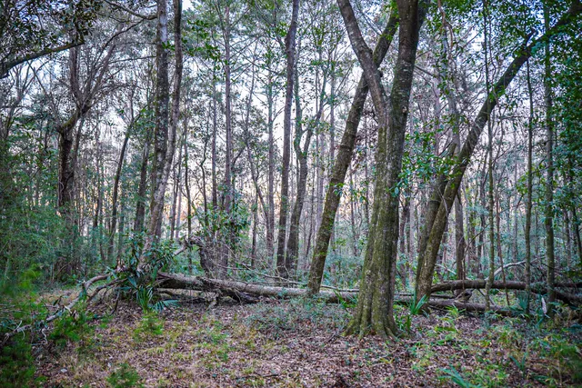 $949,000 | 19 Middleton Oaks Road, Charleston, SC 29414