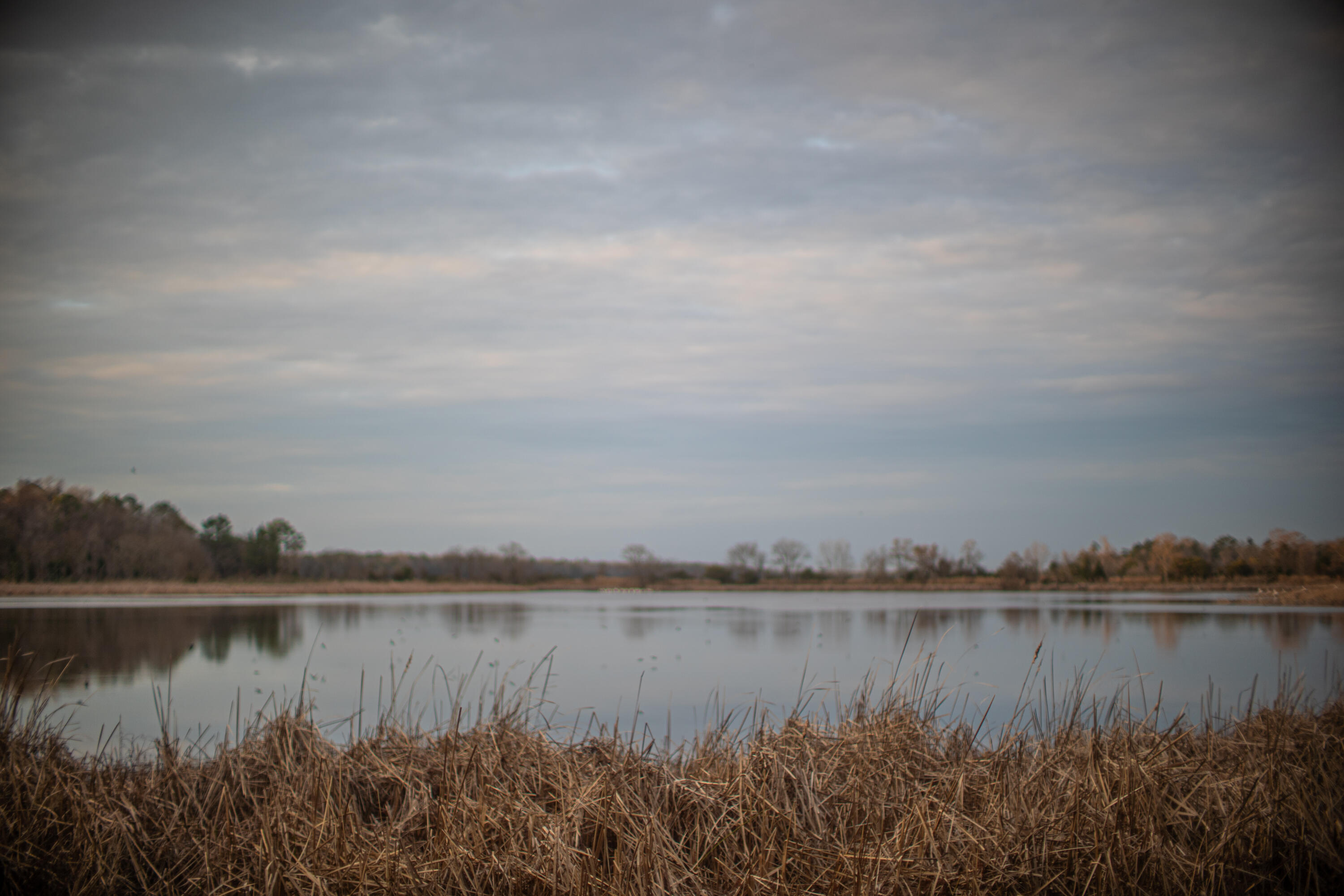 19 Middleton Oaks Road Charleston, SC 29414 - Photo 39 of 56 AUSTINMARVELS.COM-03090
