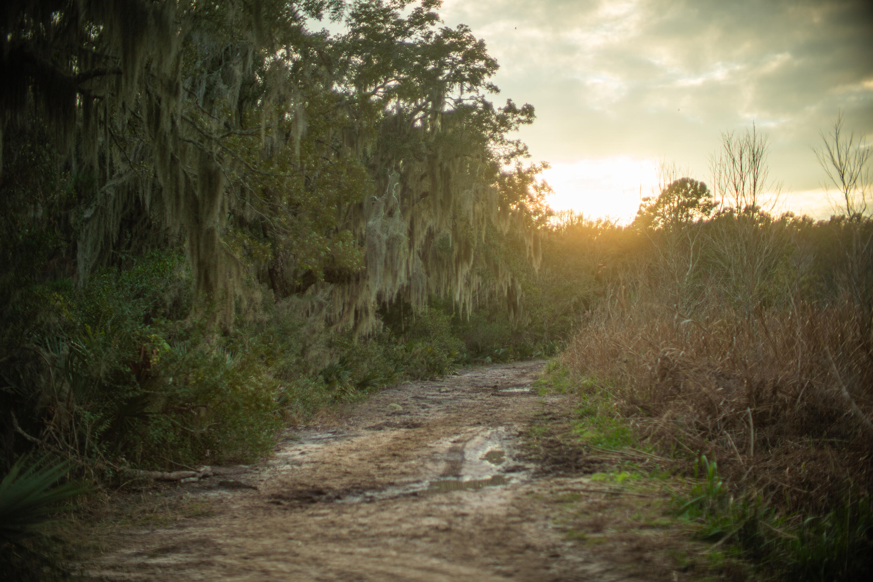 19 Middleton Oaks Road Charleston, SC 29414 - Photo 40 of 56 AUSTINMARVELS.COM-03091