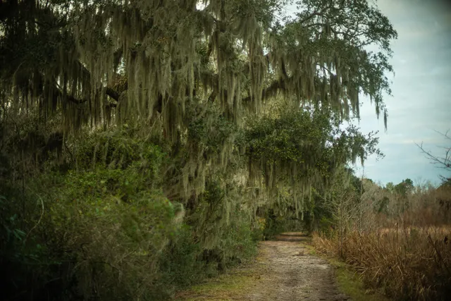 $949,000 | 19 Middleton Oaks Road, Charleston, SC 29414