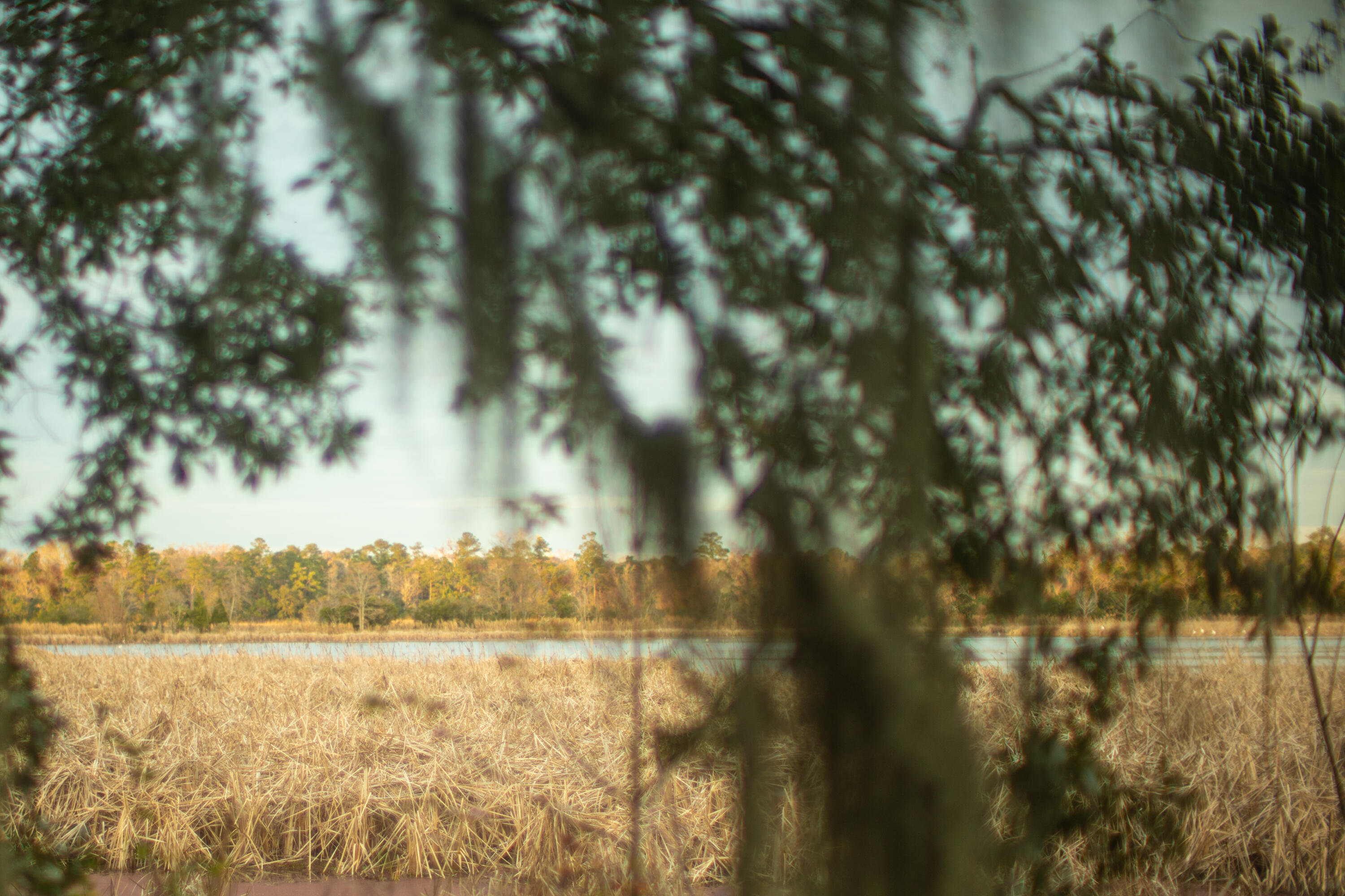 19 Middleton Oaks Road Charleston, SC 29414 - Photo 43 of 56 AUSTINMARVELS.COM-03109