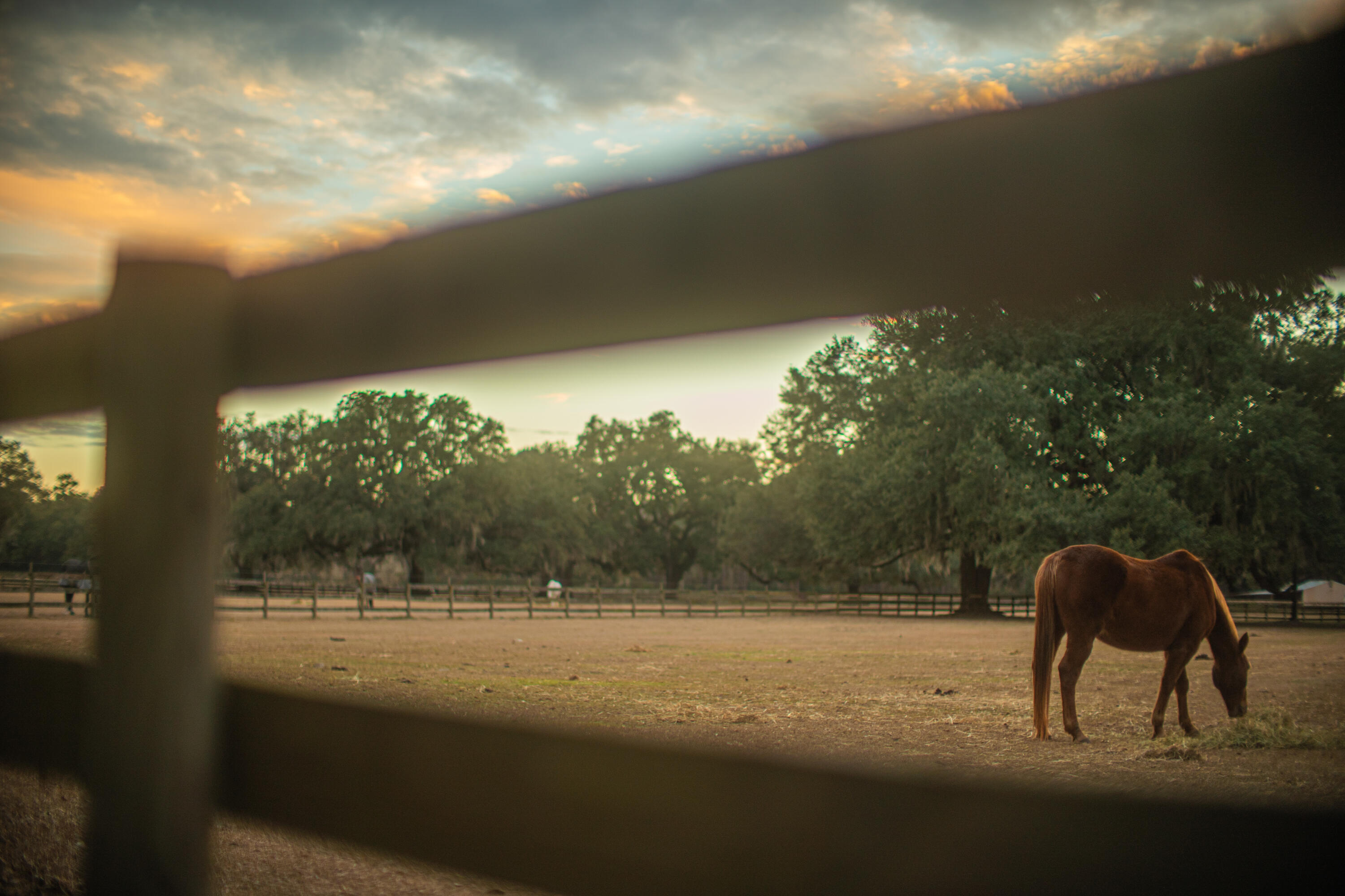 19 Middleton Oaks Road Charleston, SC 29414 - Photo 45 of 56 AUSTINMARVELS.COM-03124