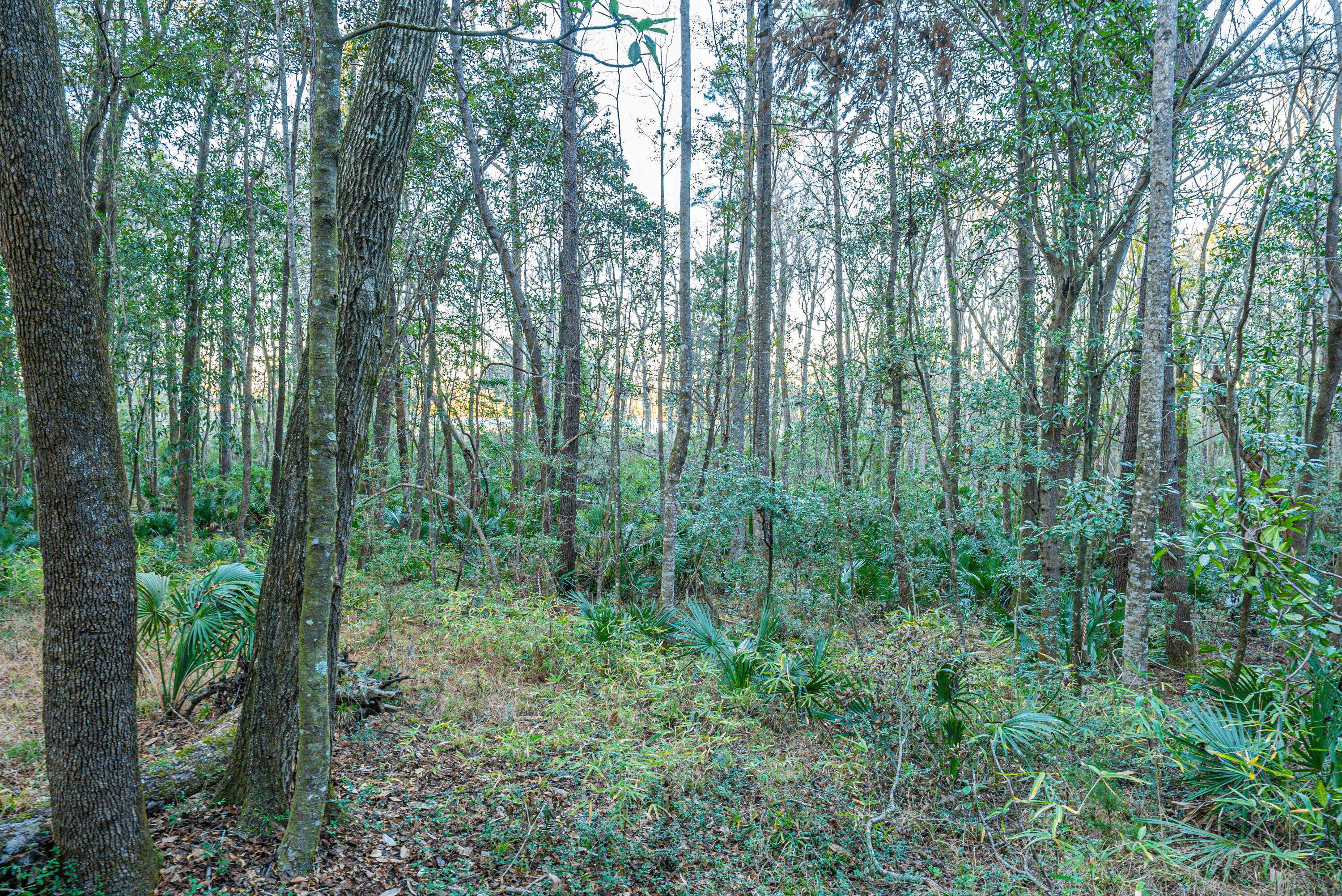 19 Middleton Oaks Road Charleston, SC 29414 - Photo 48 of 56 AUSTINMARVELS.COM-02277