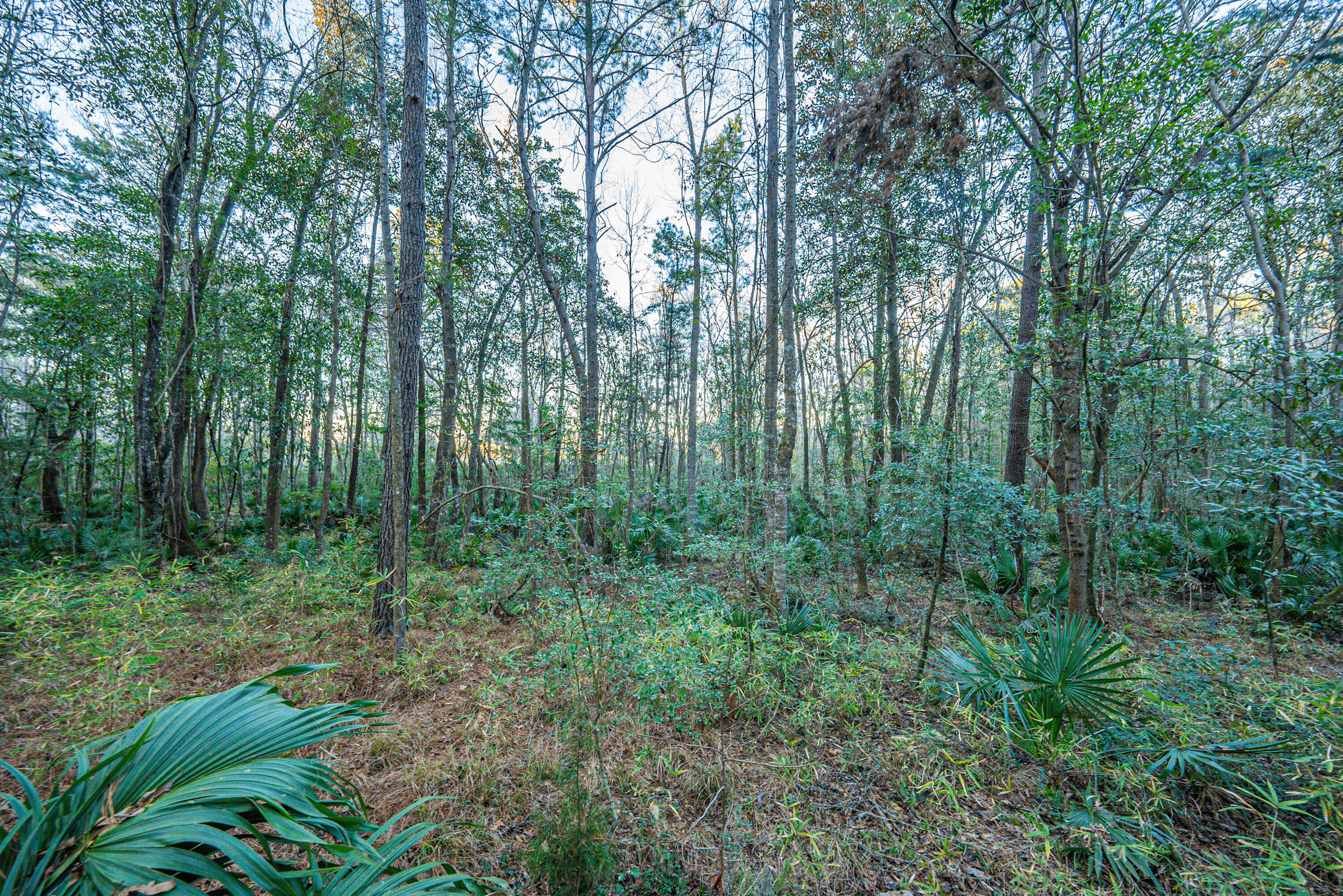 19 Middleton Oaks Road Charleston, SC 29414 - Photo 49 of 56 AUSTINMARVELS.COM-02279