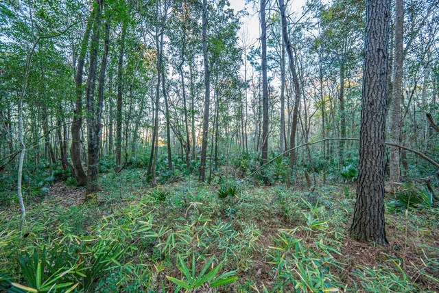 $949,000 | 19 Middleton Oaks Road, Charleston, SC 29414