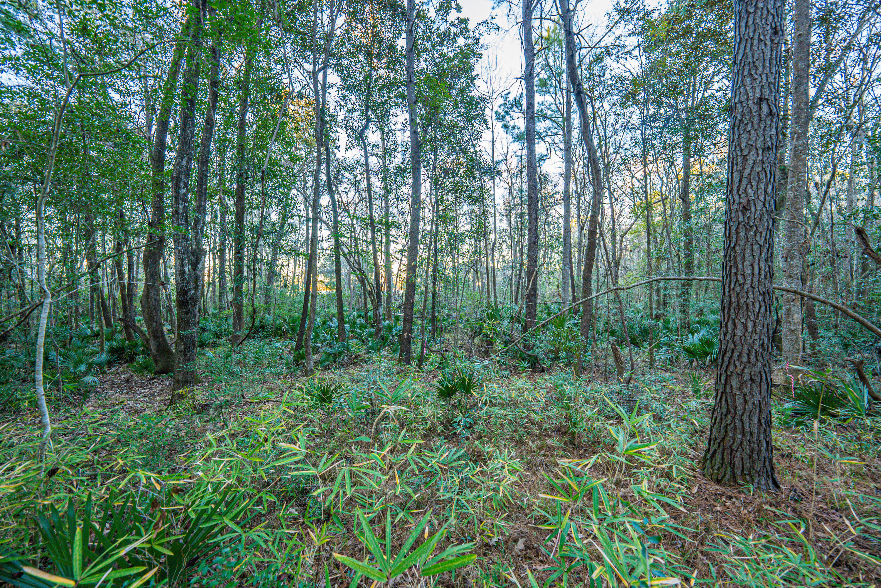 19 Middleton Oaks Road Charleston, SC 29414 - Photo 50 of 56 AUSTINMARVELS.COM-02281