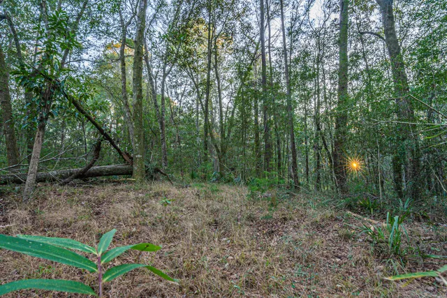 $949,000 | 19 Middleton Oaks Road, Charleston, SC 29414