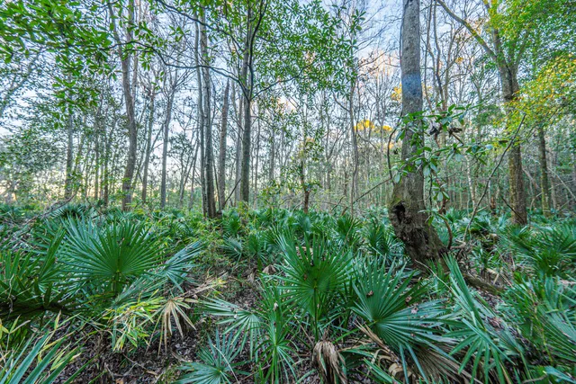 $949,000 | 19 Middleton Oaks Road, Charleston, SC 29414