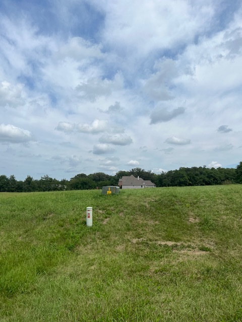 9197 Lee Hill Road Newark, IL 60541 - Photo 3 of 10 Gallery Image 3