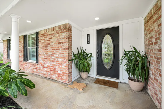 a potted plant sitting in front of a door