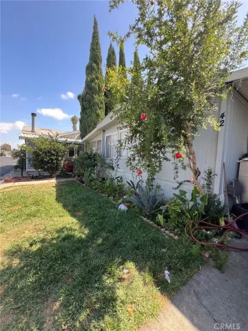 a view of a garden with plants