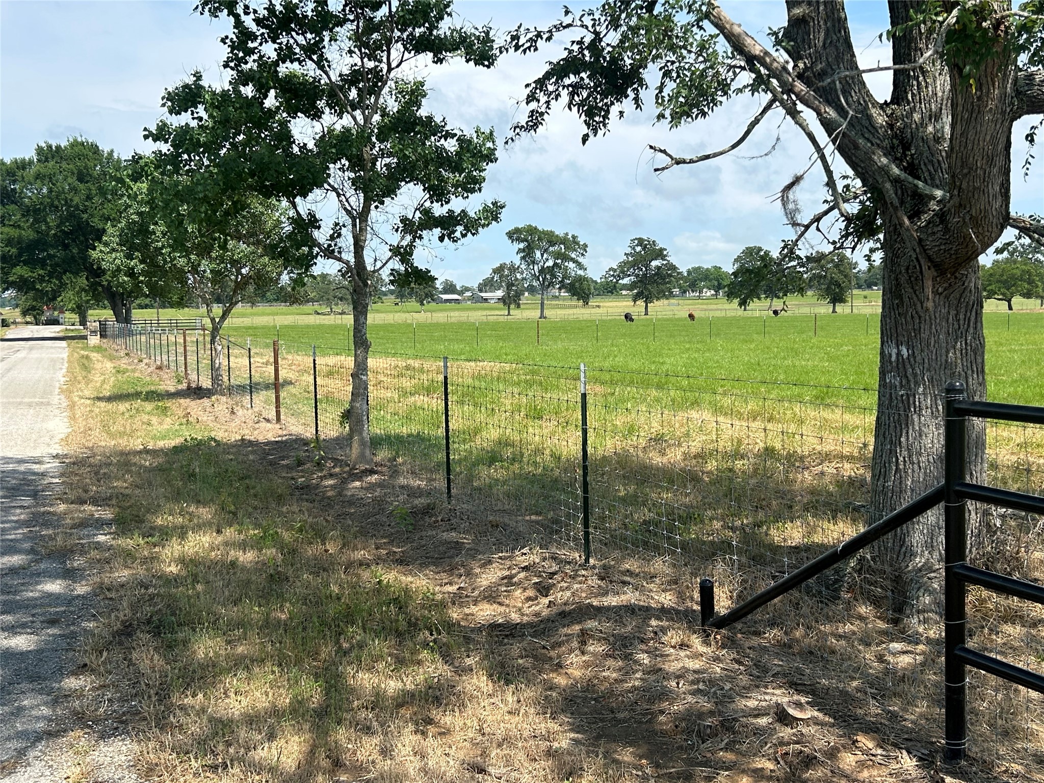 38715 Wiggins Road Hempstead, TX 77445 - Photo 5 of 8 a view of a garden with a tree