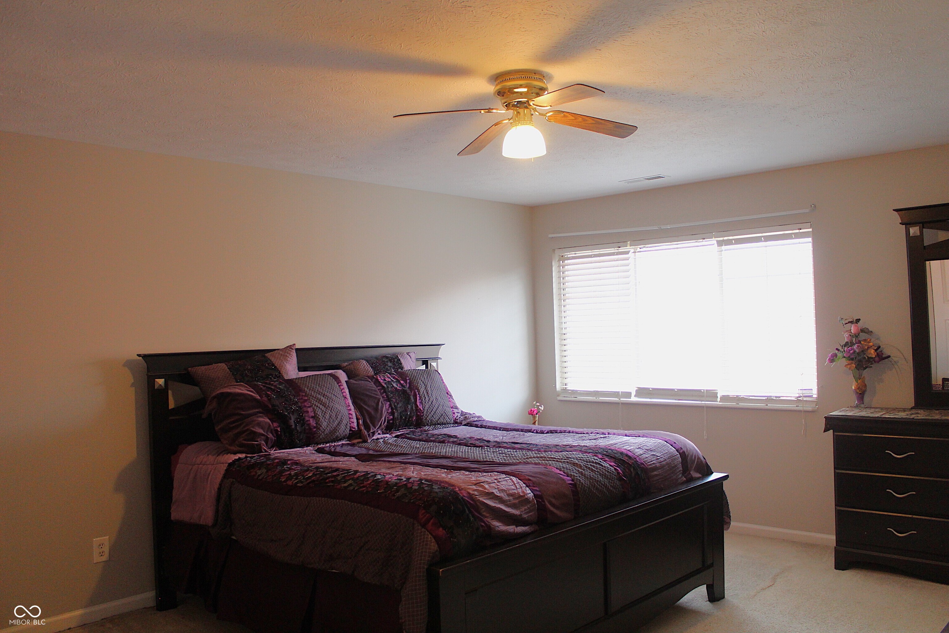 6009 Biron Way Indianapolis, IN 46254 - Photo 17 of 25