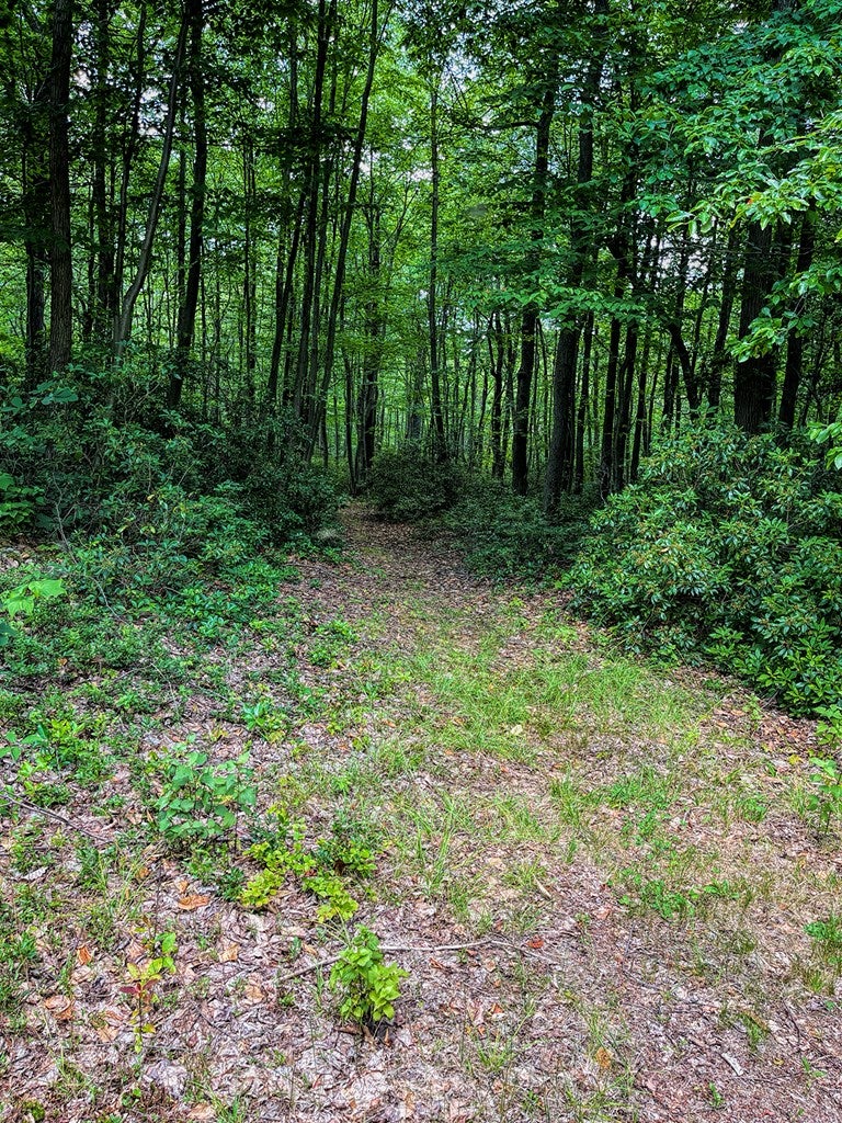 20973 Laurel Mountain Road Three Springs, PA 17264 - Photo 12 of 52 Gallery Image 12