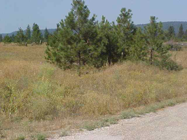 Xx Johnny Walker Way Springdale, WA 99173 - Photo 1 of 2