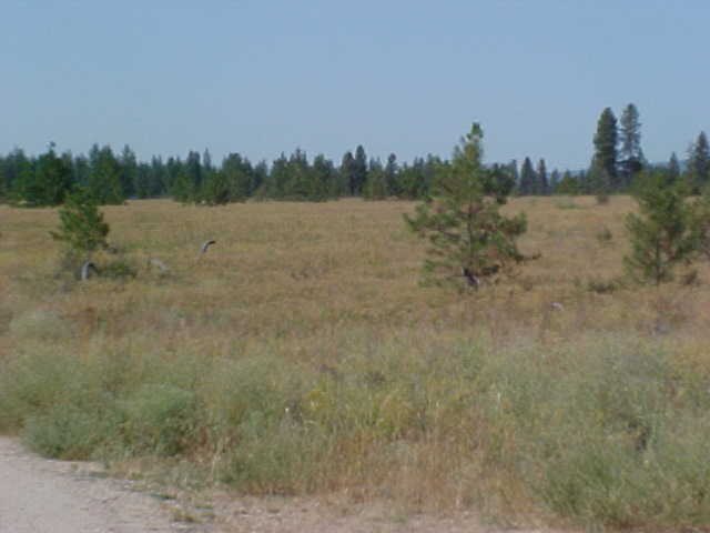 Xx Johnny Walker Way Springdale, WA 99173 - Photo 2 of 2