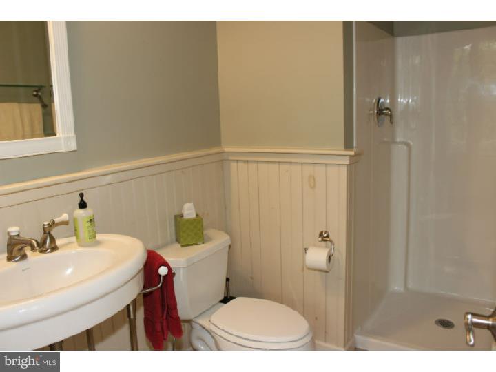 554 Ridgeway Road Birdsboro, PA 19508 - Photo 12 of 25 Bathroom